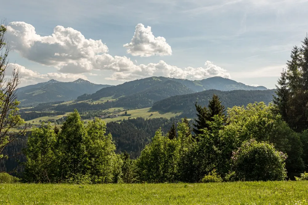 KITZIMMO-Grundstück mit Baugenehmigung für 2 Luxuschalets - Immobilien Itter kaufen.