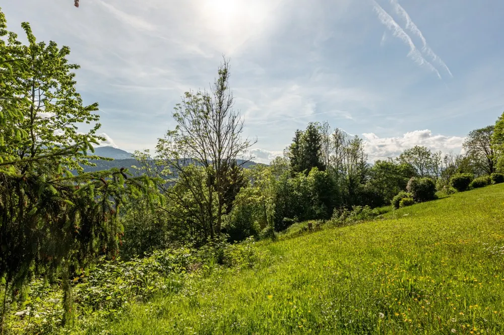 KITZIMMO-Grundstück mit Baugenehmigung für 2 Luxuschalets - Immobilien Itter kaufen.