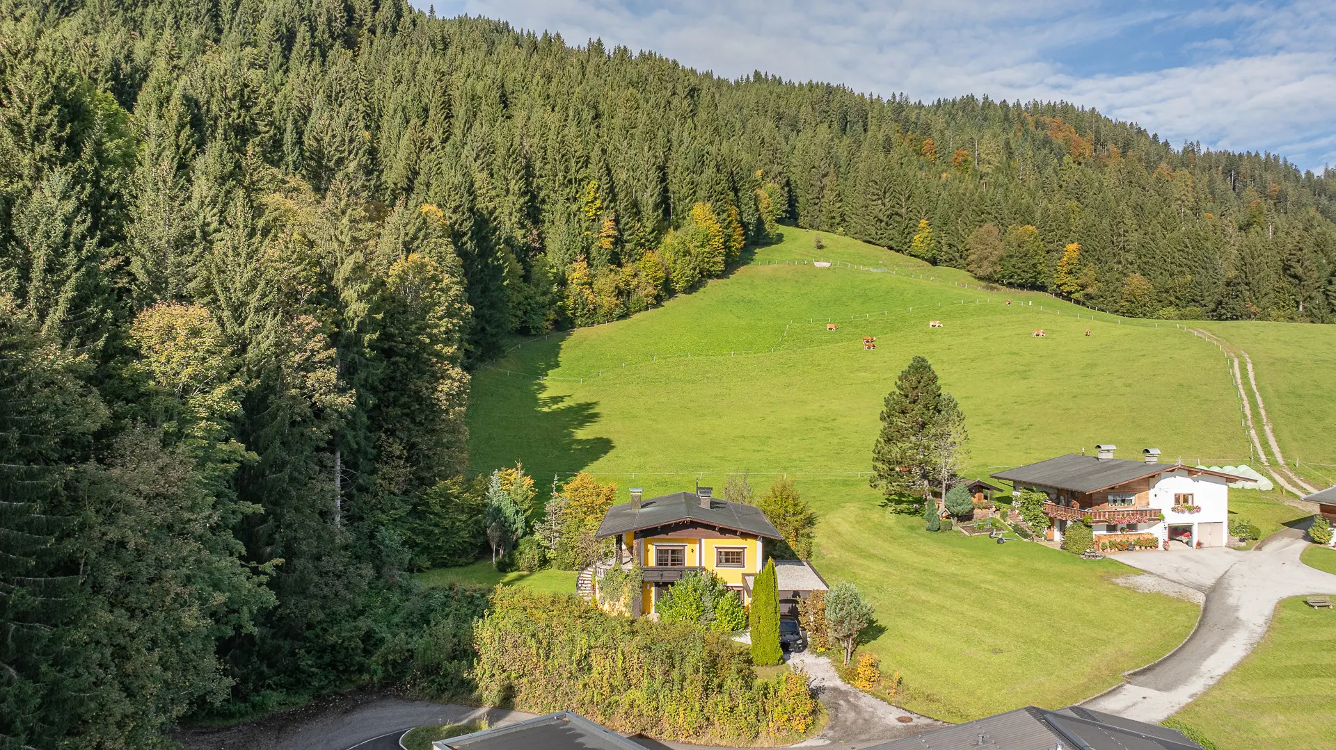 KITZIMMO-Alm Berghütte in Toplage kaufen - Immobilien Kitzbüheler Alpen.