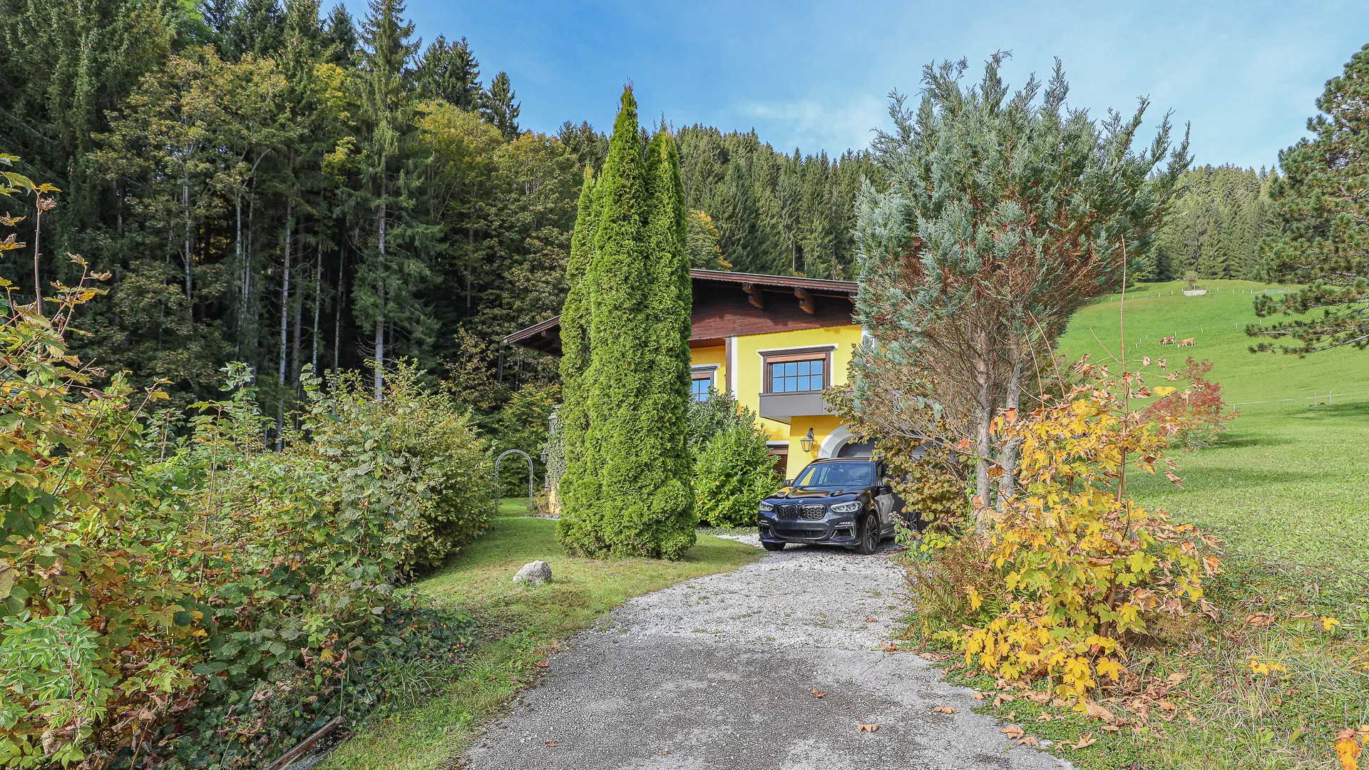 KITZIMMO-Alm Berghütte in Toplage kaufen - Immobilien Kitzbüheler Alpen.
