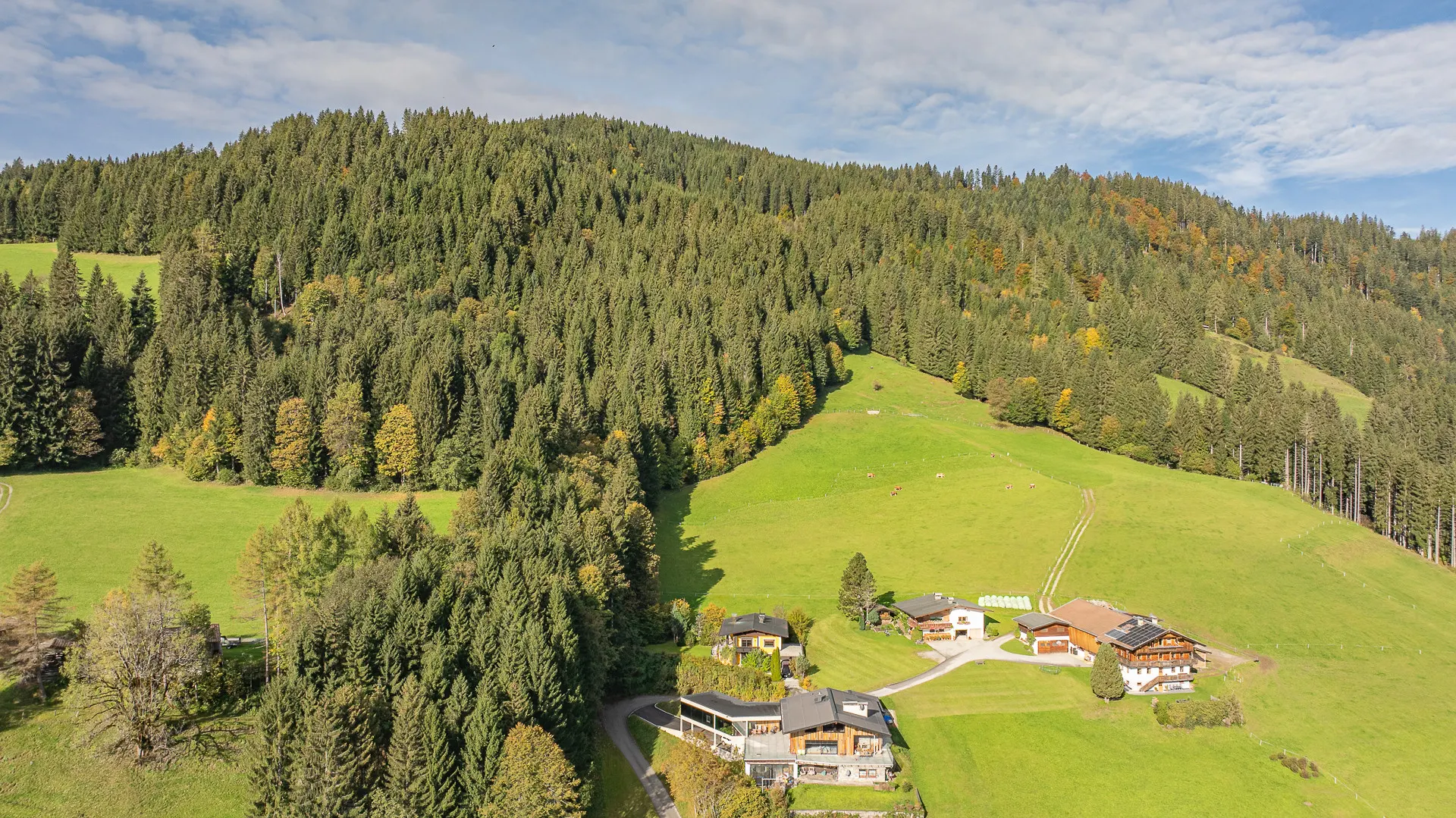 KITZIMMO-Alm Berghütte in Toplage kaufen - Immobilien Kitzbüheler Alpen.