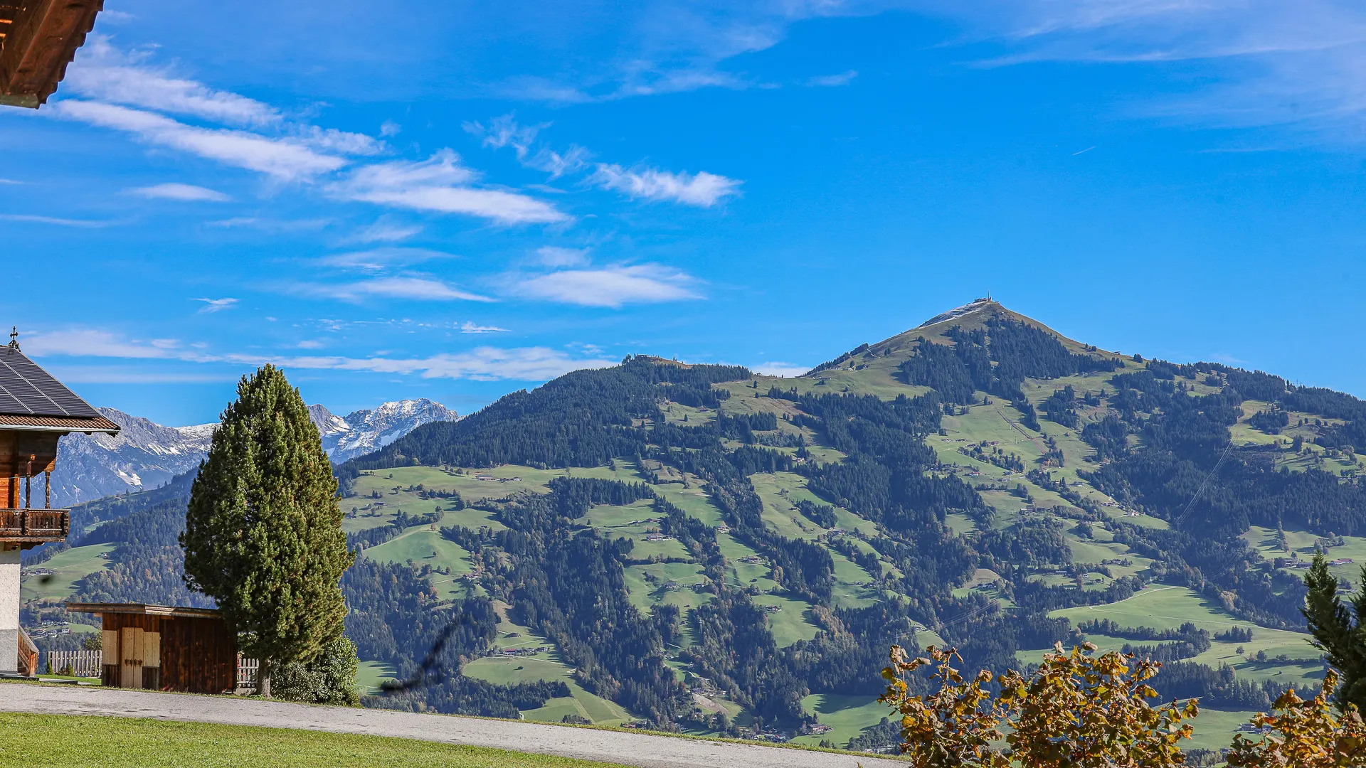 KITZIMMO-Alm Berghütte in Toplage kaufen - Immobilien Kitzbüheler Alpen.