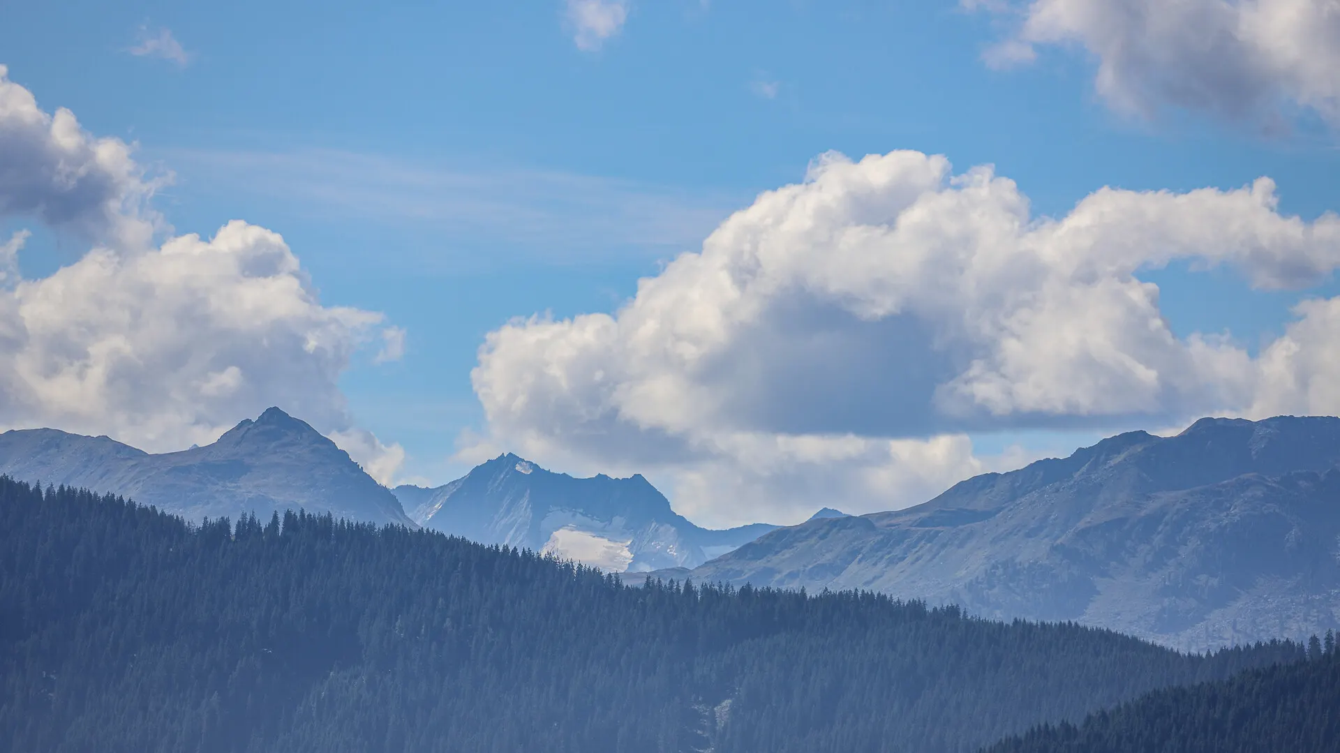 KITZIMMO-Berghütte in Alleinlage in den Kitzbüheler Alpen kaufen.