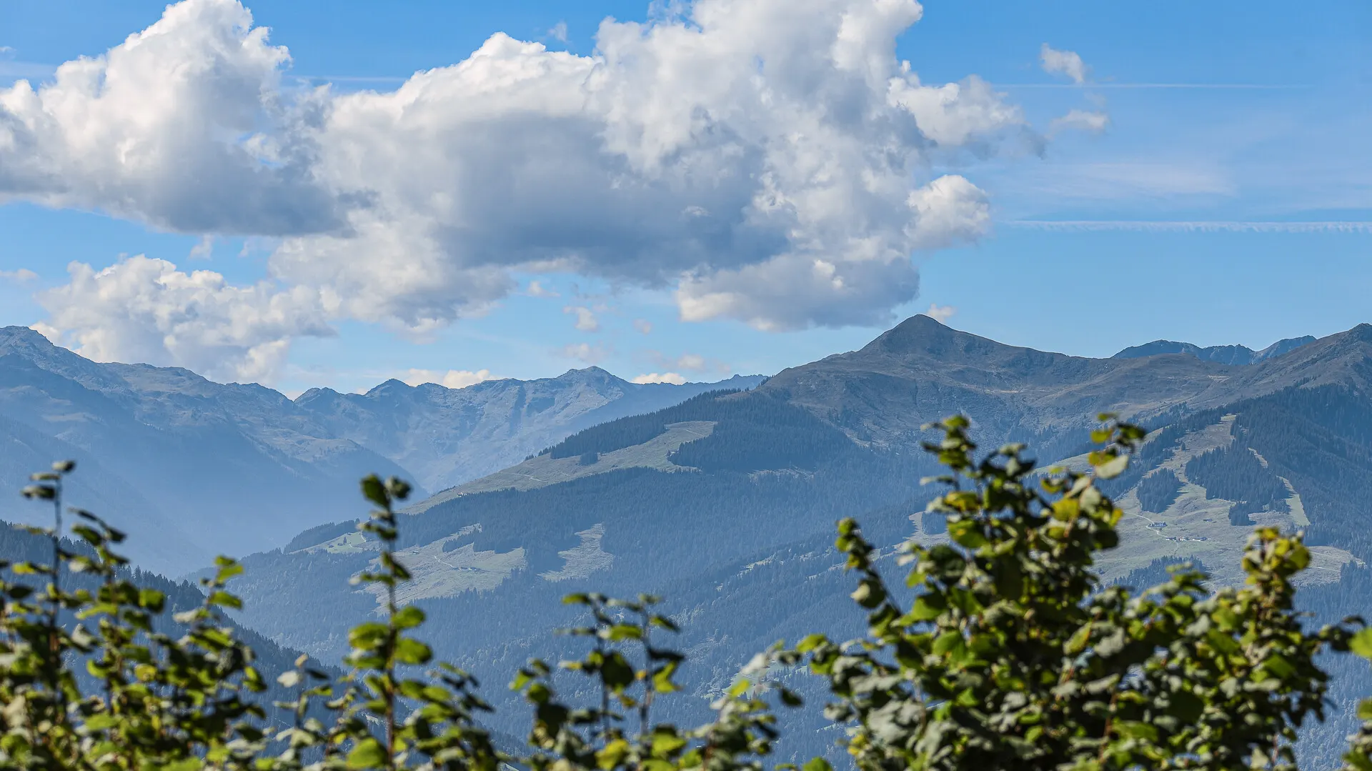 KITZIMMO-Berghütte in Alleinlage in den Kitzbüheler Alpen kaufen.