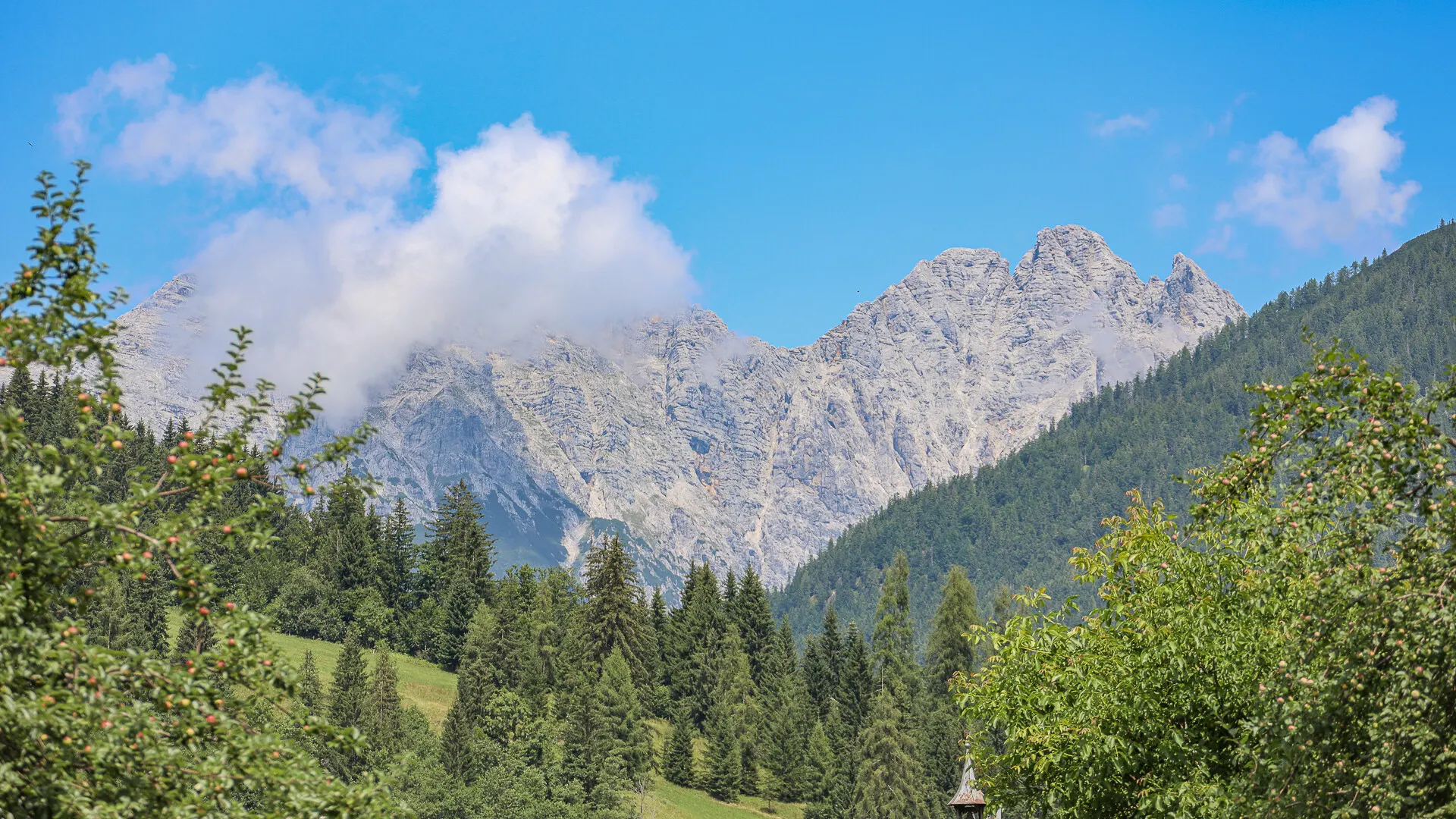 KITZIMMO-Baugrund mit 360-Grad Panorama-Ausblick in Ruhelage - Immobilien Hochfilzen.